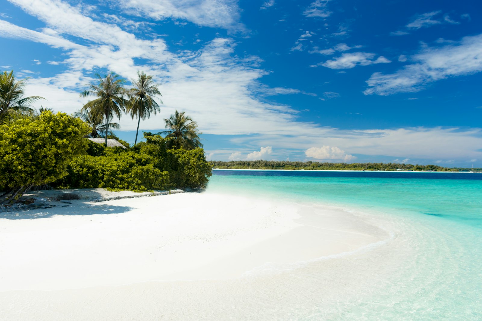 Paddling the Emerald Tunnels of Lovers Key State Park
